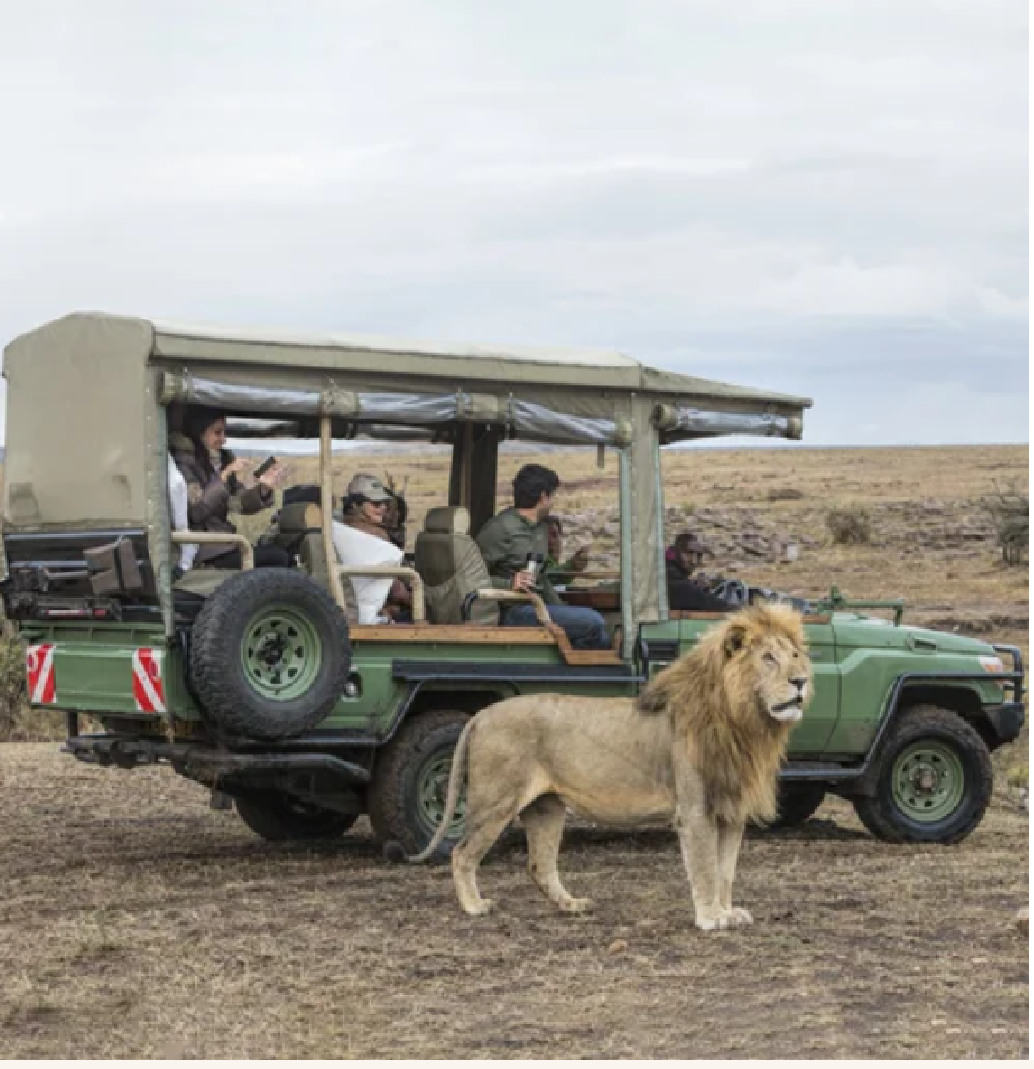 best masai mara travel agent in kolkata